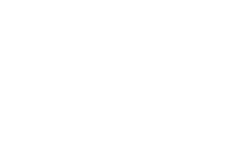 fantasias nice logotipo